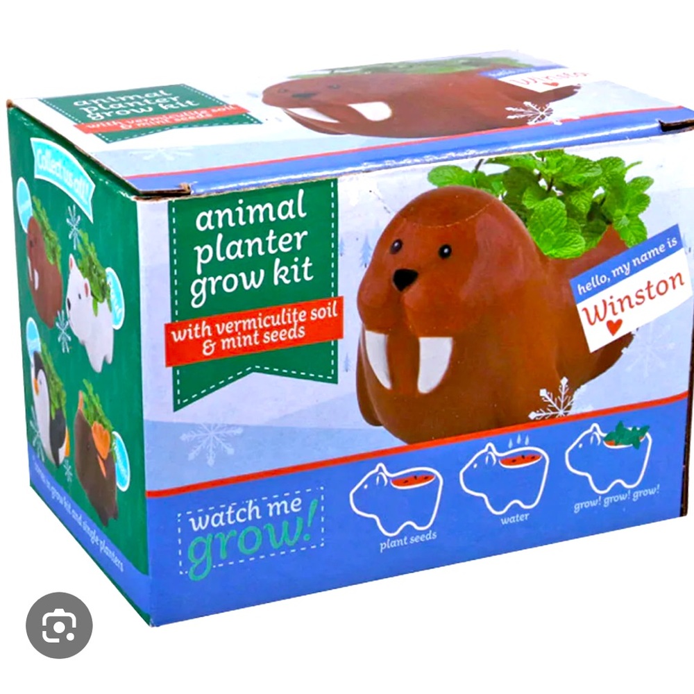 Walrus Animal Planter Herb Grow Kit, Painted Ceramic Pot soil & Mint Seeds